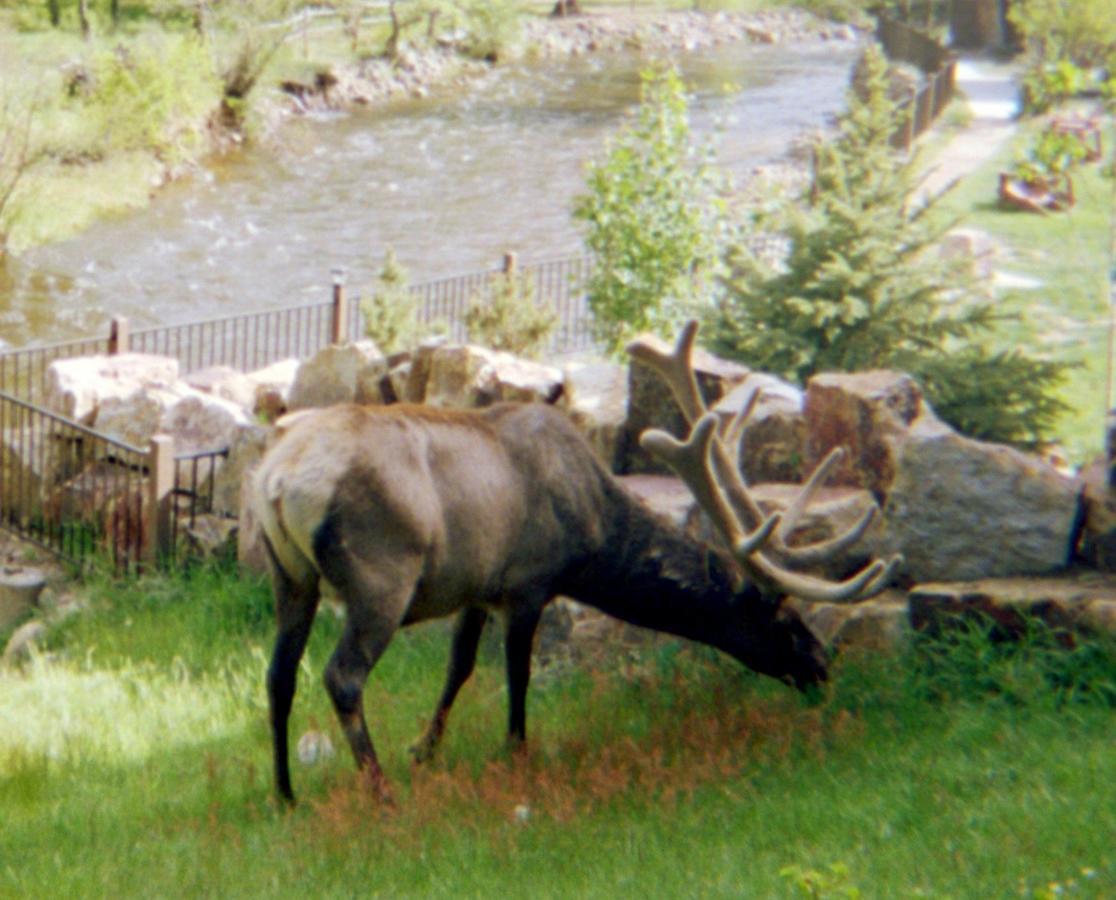 Skyline Cottages Estes Park Buitenkant foto